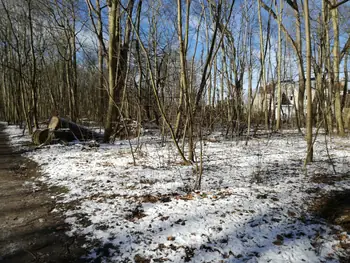 De Panne in de sneeuw (België)